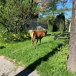 Chalet Na Skarpce *