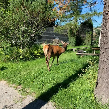 Alpesi faház Na Skarpce *